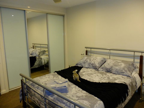 Rock Wallaby - Accommodation in Surfers Paradise 14