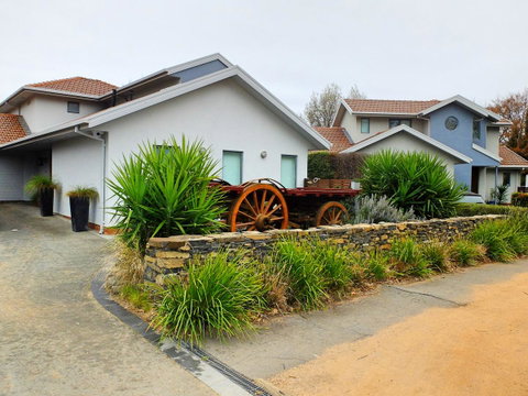 Rock Wallaby - Accommodation in Surfers Paradise 5