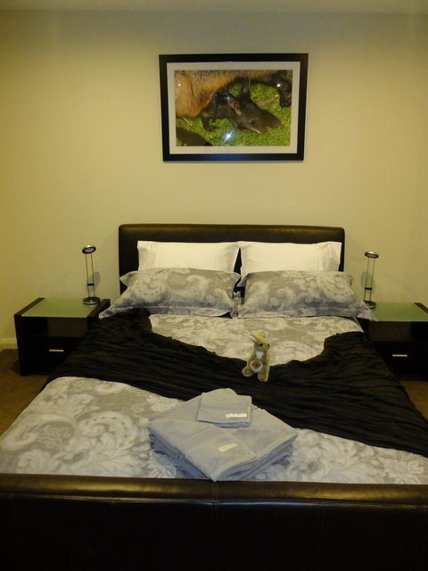 Rock Wallaby - Accommodation in Surfers Paradise 18