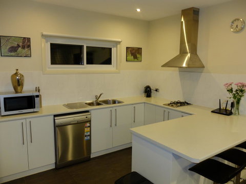 Rock Wallaby - Accommodation in Surfers Paradise 12