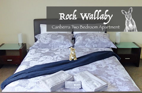 Rock Wallaby - Accommodation in Surfers Paradise 4
