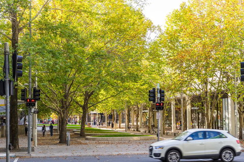 Highgate Executive Apartment City Walk Canberra - Accommodation in Surfers Paradise 37