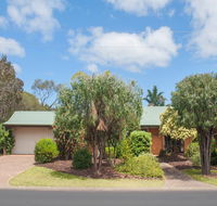 Bottlebrush - Accommodation in Surfers Paradise