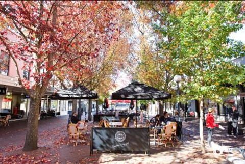 Bowral Boutique Motel - Accommodation in Surfers Paradise 1