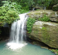 Buderim Forest Hideaway - Accommodation in Surfers Paradise