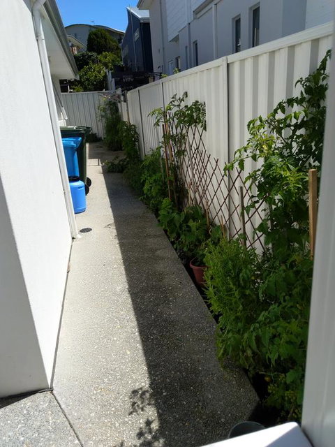 C'est La Vie - Accommodation in Surfers Paradise 2