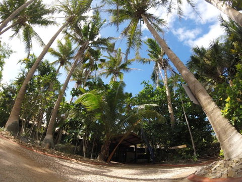 Cable Beach Backpackers - Accommodation in Surfers Paradise 3