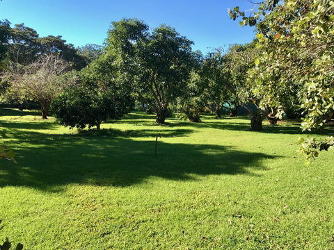Camelot Cottages - Accommodation in Surfers Paradise 2