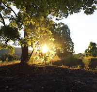 Clarendon Forest Retreat - Accommodation in Surfers Paradise