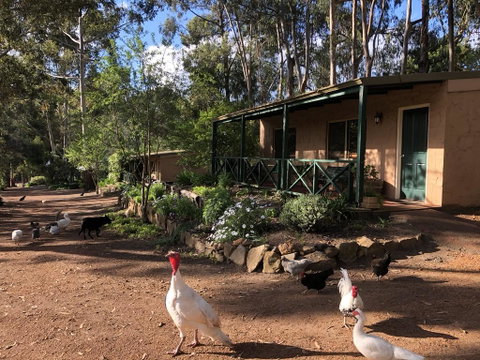 Country Cottages Of Bridgetown - Accommodation in Surfers Paradise 0