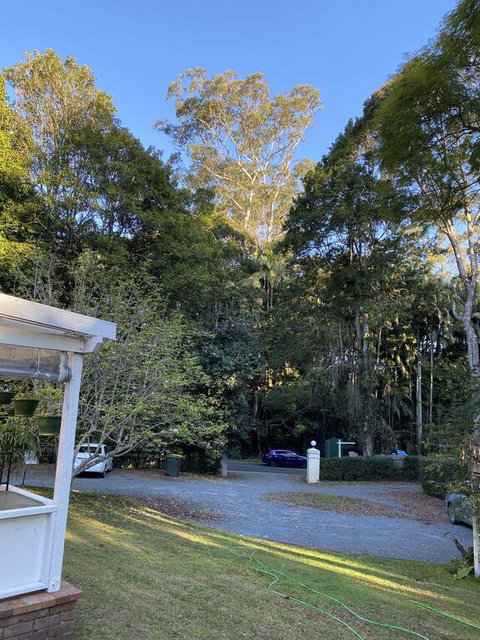Curtis Falls Studio-Apartment - Accommodation in Surfers Paradise 3