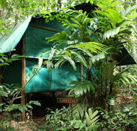 Daintree Crocodylus - Accommodation in Surfers Paradise