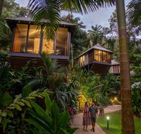 Daintree Ecolodge - Accommodation in Surfers Paradise