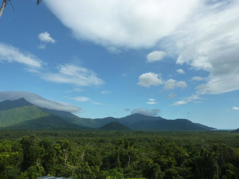 Daintree Holiday Homes - La Vista - Accommodation in Surfers Paradise 3