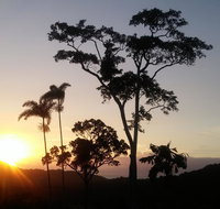 Daintree Holiday Homes - Yurara - Accommodation in Surfers Paradise