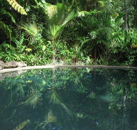 Daintree Rainforest Retreat Motel - Accommodation in Surfers Paradise