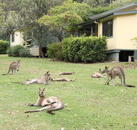 Depot Beach Cabins - Accommodation in Surfers Paradise