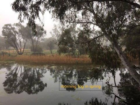 Donald Riverside Motel - Accommodation in Surfers Paradise 1