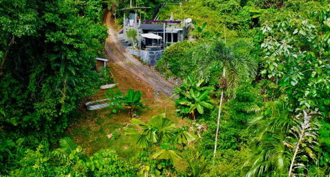 Earthship Daintree - Accommodation in Surfers Paradise 2
