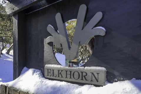 Elkhorn 11 - Accommodation in Surfers Paradise 2