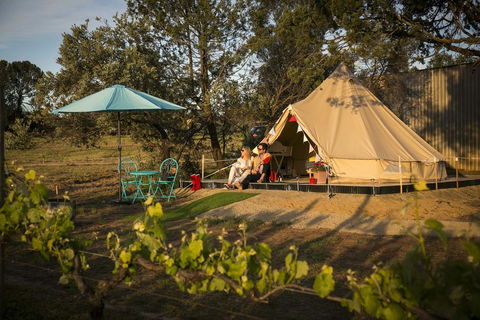 Grapevine Glamping - Accommodation in Surfers Paradise 0