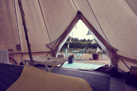 Grapevine Glamping - Accommodation in Surfers Paradise 3