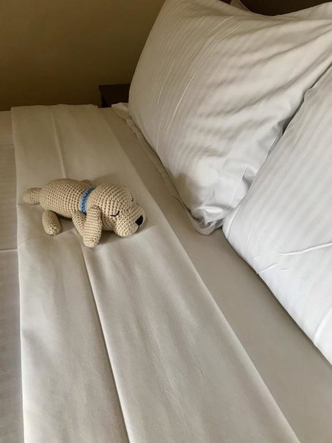 Happy Dogs Cottage Margaret River - Accommodation in Surfers Paradise 3