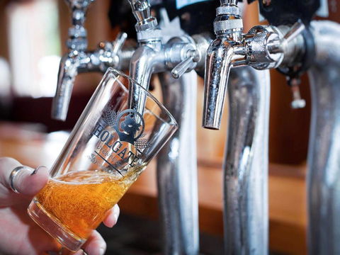 Holgate Brewhouse - Accommodation in Surfers Paradise 0