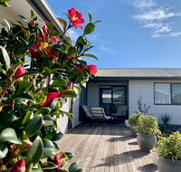 Homely Getaways in Surf Beach - Pet Friendly - Accommodation in Surfers Paradise