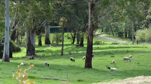 JAN'S ART STUDIO AT ASHBY RISE - Accommodation in Surfers Paradise 0