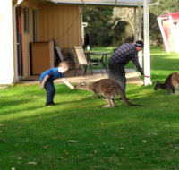 Kalgan River Chalets and Caravan Park - Accommodation in Surfers Paradise