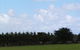 Karingal Homestead B&B - thumb 0