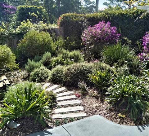 Linda's Place B&B - Accommodation in Surfers Paradise 0