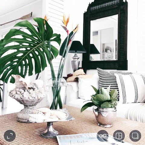 Manly Beach Retreat - Accommodation in Surfers Paradise 0
