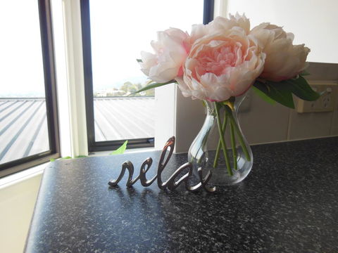 Modern Hobart Apartment With Stunning Views - Accommodation in Surfers Paradise 0