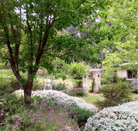 Naturescape - Accommodation in Surfers Paradise