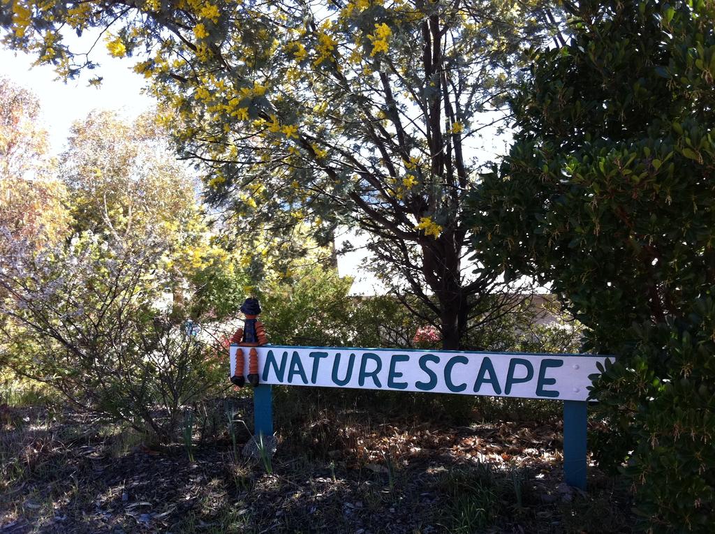 Kosciuszko NSW Accommodation in Surfers Paradise