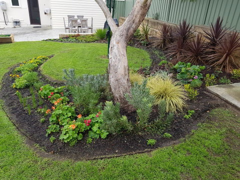 Spencer Cottage - Accommodation in Surfers Paradise 2