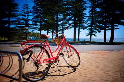 Cottesloe Artist's Beach Retreat - Accommodation in Surfers Paradise 31
