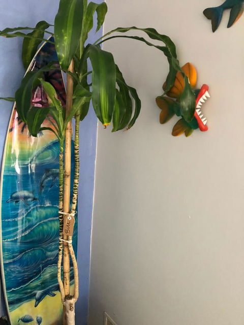 BeachHideaway@Scarborough - Accommodation in Surfers Paradise 28