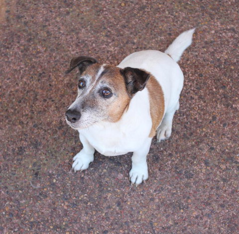 Jacaranda Hideaway Bed & Breakfast - Accommodation in Surfers Paradise 13