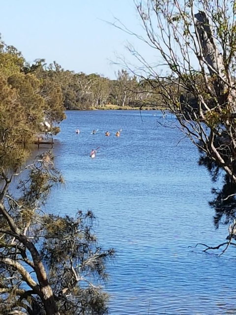 Jacaranda Hideaway Bed & Breakfast - Accommodation in Surfers Paradise 19