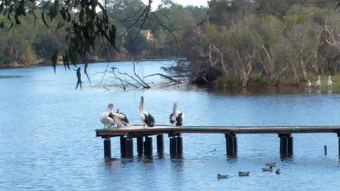 Jacaranda Hideaway Bed & Breakfast - Accommodation in Surfers Paradise 18