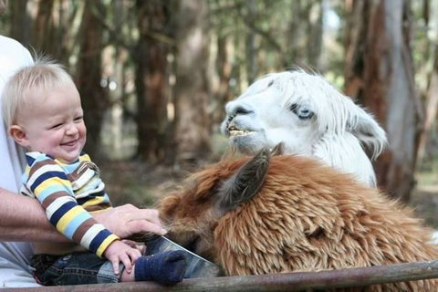 Margaret River Hideaway & Farmstay - Accommodation in Surfers Paradise 21