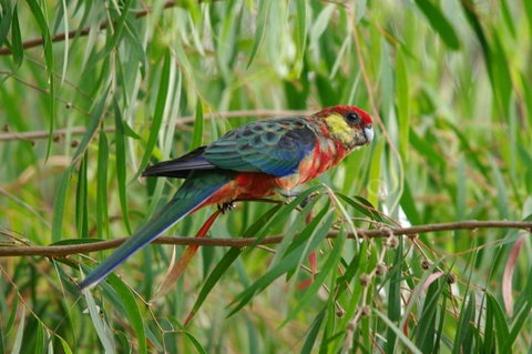 Margaret River Hideaway & Farmstay - Accommodation in Surfers Paradise 20