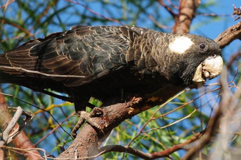 Margaret River Hideaway & Farmstay - Accommodation in Surfers Paradise 22