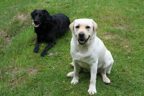 Margaret River Hideaway & Farmstay - Accommodation in Surfers Paradise 29