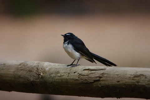 Margaret River Hideaway & Farmstay - Accommodation in Surfers Paradise 33