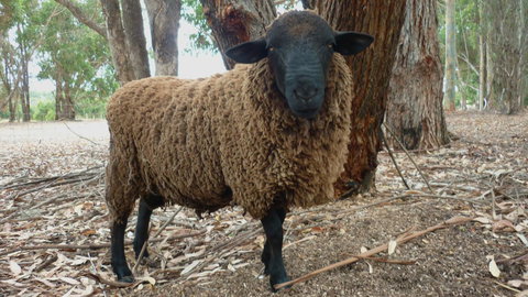 Margaret River Hideaway & Farmstay - Accommodation in Surfers Paradise 27