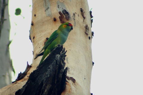 Margaret River Hideaway & Farmstay - Accommodation in Surfers Paradise 23